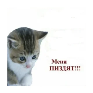 😔 emoji наклеечки... Telegram sticker 16 of 120