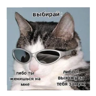 😎 emoji наклеечки... Telegram sticker 19 of 120