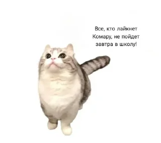 😜 emoji Камар @Kumarudrakyla Telegram sticker 14 of 24