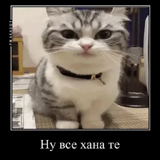 😍 emoji Камар @Kumarudrakyla Telegram sticker 6 of 24