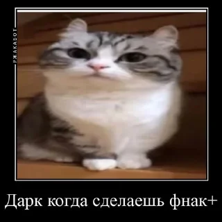 Sticker from КАМАР 2.0 https://t.me/komarukanal1488
