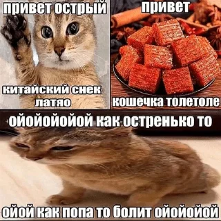 Sticker from Круть
