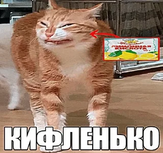 Sticker from Крутовская крутецкая круть