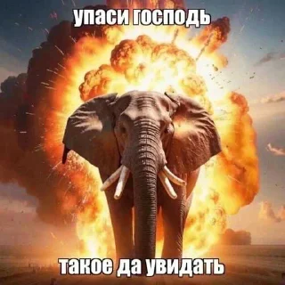 ❤️ emoji крутецкая круть ➡️ @Ctikerubot Telegram sticker 6 of 120