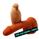 🐦 emoji absolutely хуила выпендрёжная Telegram sticker 22 of 22