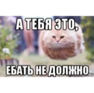 😂 emoji "Я тебя выебал" by HAPPY Telegram sticker 23 of 24