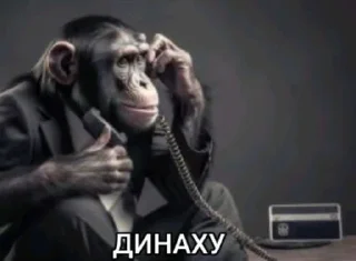 Sticker from Хуй