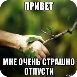 🖼 emoji БОЛЬШЕ ⇨ @CLOOBHUB МЕМНЫЕ СТИКЕРЫ МЕМЫ РАСТЯПА Telegram sticker 4 of 81