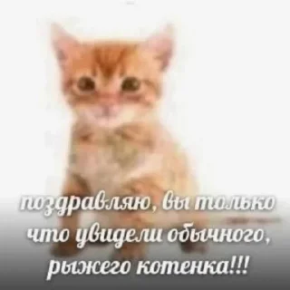 🫥 emoji Больше стиков тут: @stickery_stickers Telegram sticker 18 of 120