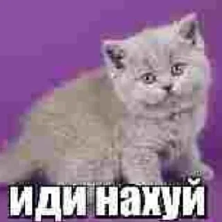 🤗 emoji Больше стиков тут: @stickery_stickers Telegram sticker 17 of 120