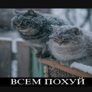 😤 emoji Больше стиков тут: @stickery_stickers Telegram sticker 21 of 120
