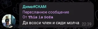 Sticker from Легенды тик-тока | V1 by Эстетик