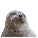 Sticker from seals
