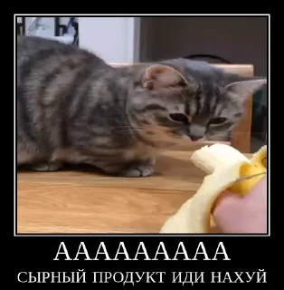 😖 emoji Комарки pt2 @not_a_dude Telegram sticker 7 of 68