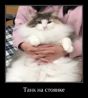 🫠 emoji Комарки pt2 @not_a_dude Telegram sticker 21 of 68
