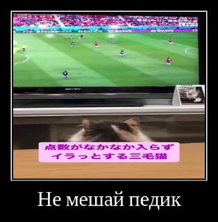 😎 emoji Комарки pt2 @not_a_dude Telegram sticker 8 of 68