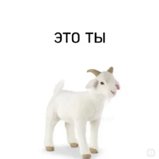 😋 emoji арабия аутистов Telegram sticker 8 of 101
