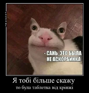 😣 emoji Угарні Меми від мене. Telegram sticker 9 of 59