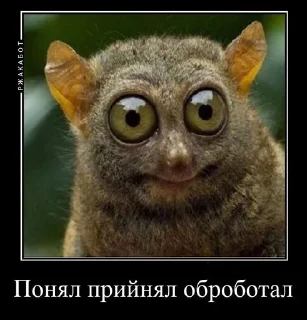 😳 emoji Угарні Меми від мене. Telegram sticker 5 of 59