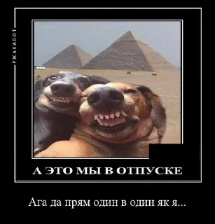 😁 emoji Угарні Меми від мене. Telegram sticker 7 of 59