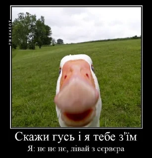 🆗 emoji Угарні Меми від мене. Telegram sticker 8 of 59