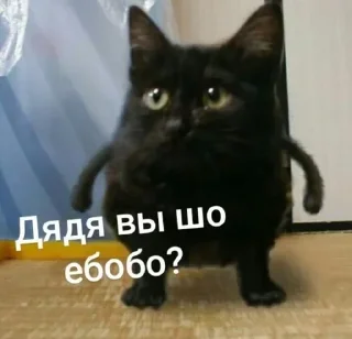 😠 emoji Больше стиков тут: @stikery4 Telegram sticker 9 of 120