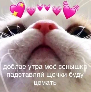 😘 emoji Больше стиков тут: @stikery4 Telegram sticker 16 of 120