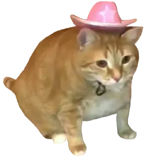 😉 emoji Больше стиков тут: @stikery4 Telegram sticker 20 of 34