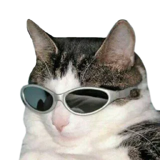 😎 emoji Больше стиков тут: @stikery4 Telegram sticker 13 of 34