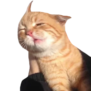 😞 emoji Больше стиков тут: @stikery4 Telegram sticker 18 of 34