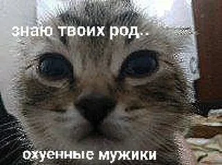 🌟 emoji белый негр pack by @QuotLyBot Telegram sticker 4 of 120