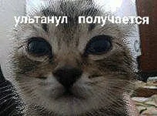 🌟 emoji белый негр pack by @QuotLyBot Telegram sticker 2 of 120