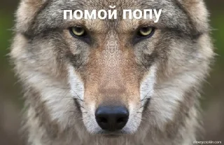 🌟 emoji белый негр pack by @QuotLyBot Telegram sticker 8 of 120