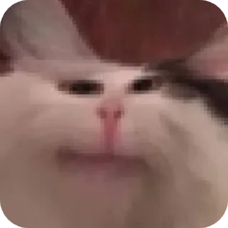 😦 emoji Beluga🤍🤎 @Di_you_love_me создатель Telegram sticker 16 of 18