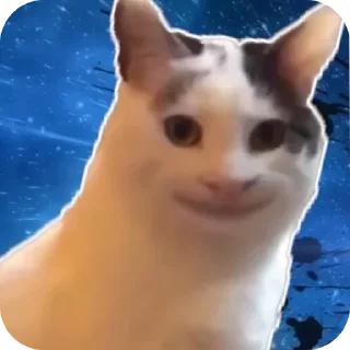 🙂 emoji Beluga🤍🤎 @Di_you_love_me создатель Telegram sticker 13 of 18