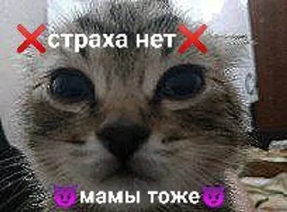 🌟 emoji белый негр pack by @QuotLyBot Telegram sticker 3 of 120