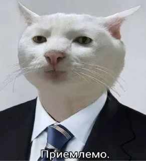 👌 emoji Соси_мудила_ебаная @MoiStikiBot Telegram sticker 13 of 105