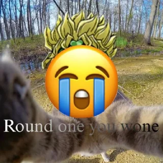 😳 emoji Ода раундвин из чата МЧС Telegram sticker 3 of 91