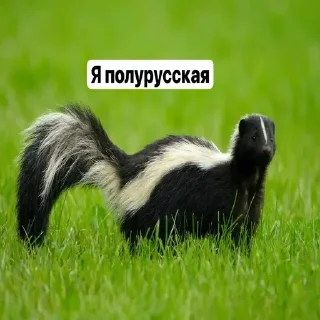 😏 emoji база ➡️ @Ctikerubot Telegram sticker 12 of 16