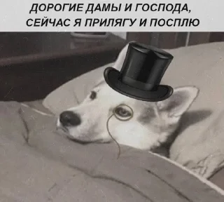 😶 emoji стикерпак для сударей Telegram sticker 23 of 79