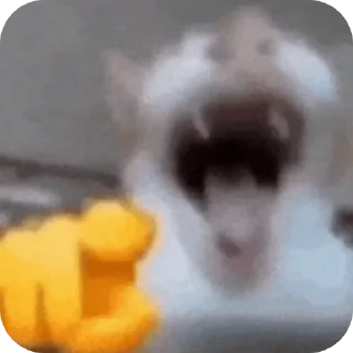 🤣 emoji Хисакошка ➡️ @Ctikerubot Telegram sticker 20 of 27