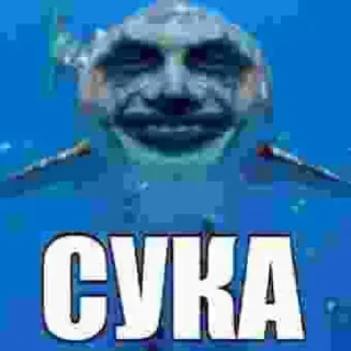 Sticker from Каки пуки мейд бай вакваве