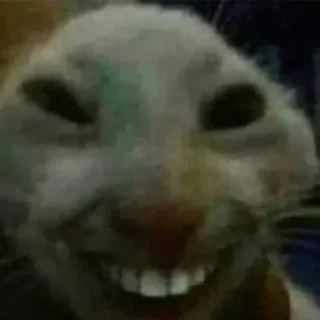 😁 emoji Не заходи сюда👉🏻 @stikiin Telegram sticker 10 of 95