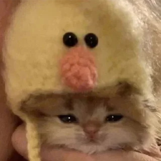 😋 emoji Не заходи сюда👉🏻 @stikiin Telegram sticker 17 of 95