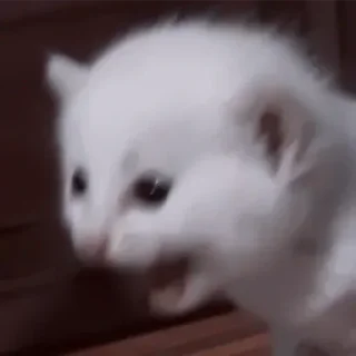 😭 emoji Не заходи сюда👉🏻 @stikiin Telegram sticker 7 of 95