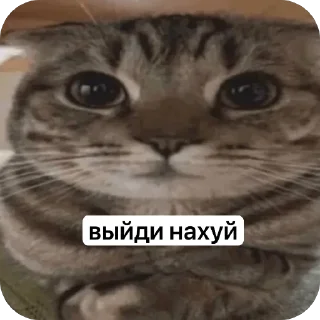 ❤ emoji KEVIN SUKA ➡️ @Ctikerubot Telegram sticker 4 of 23