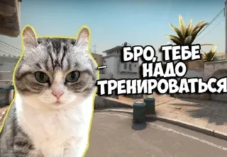 Sticker from Клуб любителей Комару by @CyberShlapa