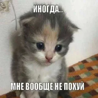 😘 emoji гагага ➡️ @Ctikerubot Telegram sticker 20 of 75