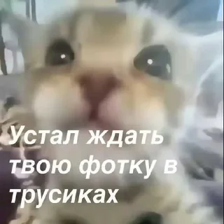 😘 emoji гагага ➡️ @Ctikerubot Telegram sticker 5 of 75