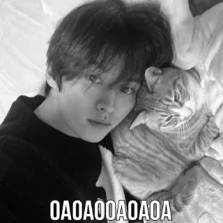 🐾 emoji ho @hyunjinoke Telegram sticker 18 of 26